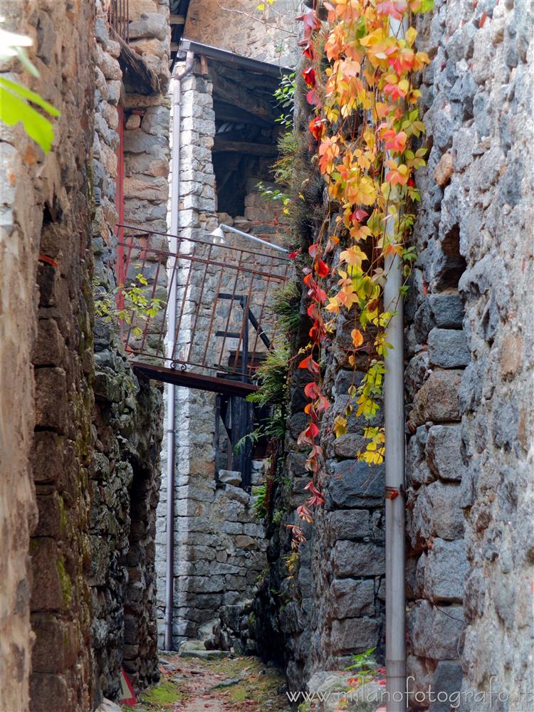 Campiglia Cervo (Biella, Italy) - Autumn colors between the old houses of the fraction Sassaia